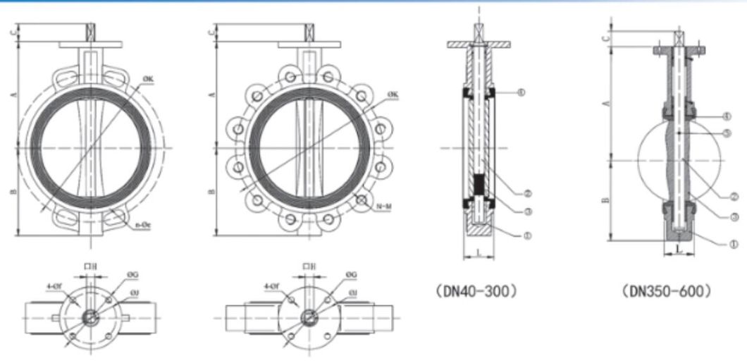 Lug Type Butterfly Valve with Gear Box for Marine