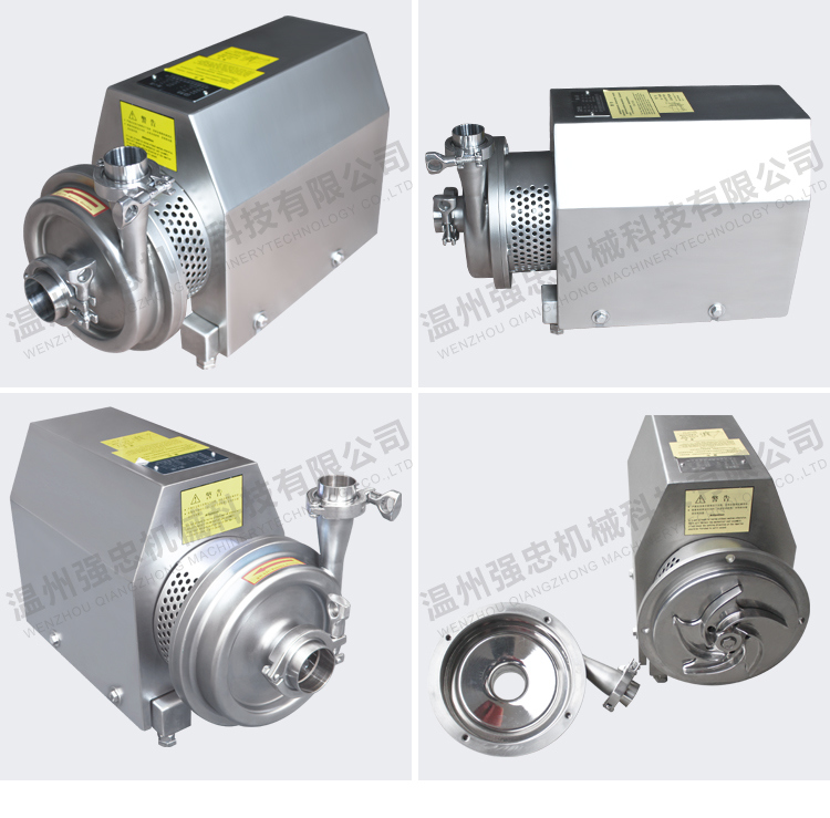 Stainless Steel Olive Oil Pump/Hot Oil Circulation Pump/Thermal Oil Pump