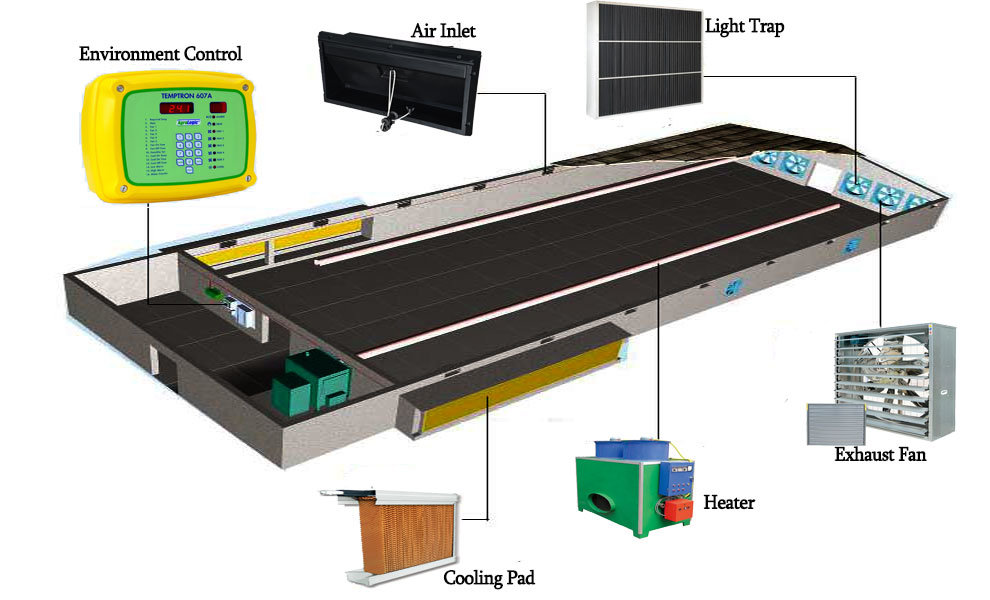 Exhaust Fan for Animal Husbandry