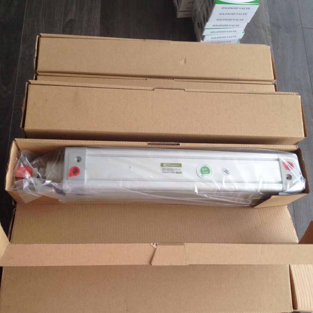 European Market Festo Type DNC Series Standard Pneumatic Air Cylinder