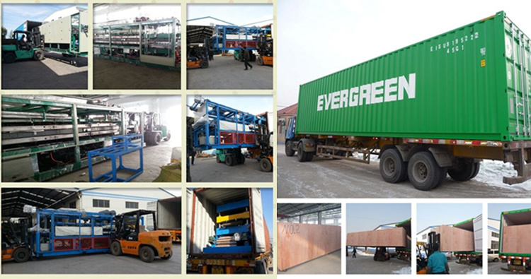 Professional Standard Fruit&Vegetable Processing Washing, Cleaning, Waxing, Grading Machine