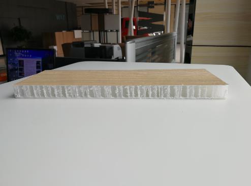 Special Non-Regular or Irregular Shape PP Cfrt Honeycomb Panels