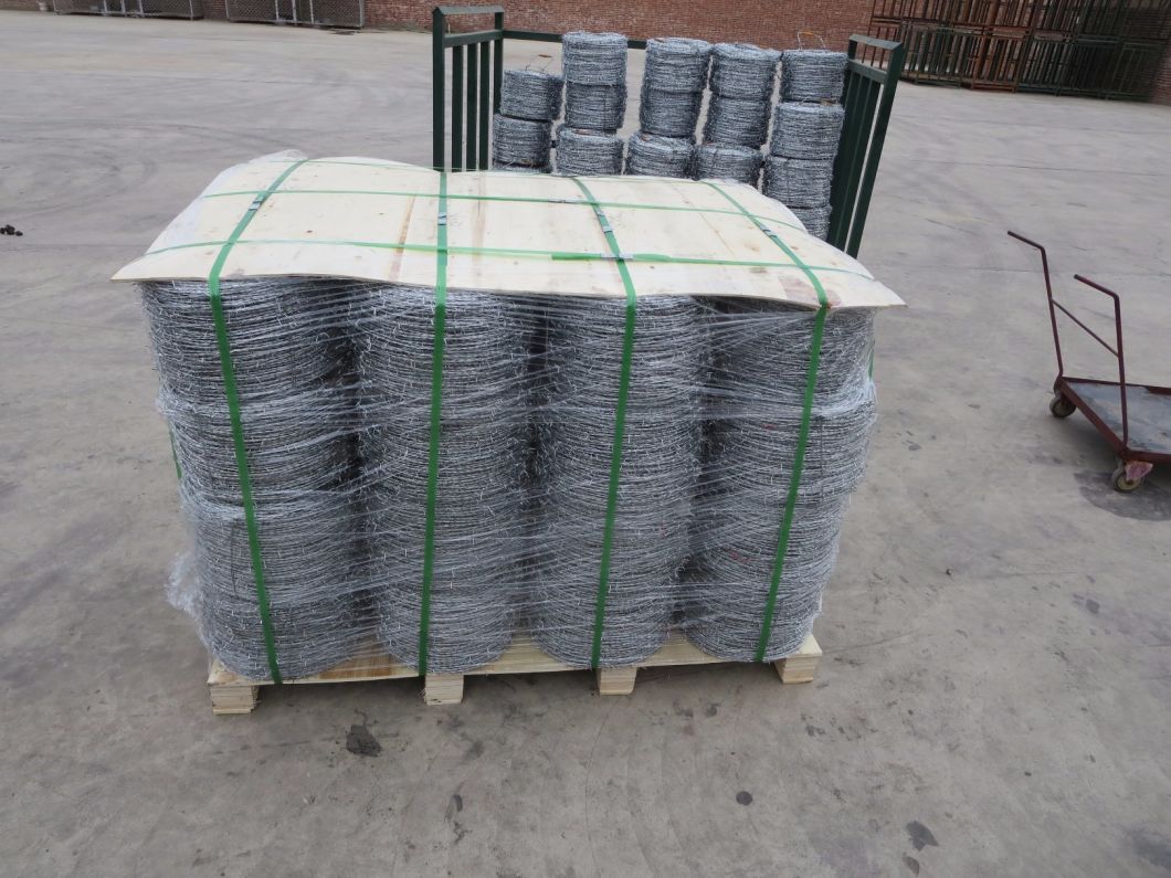 Barbed Wire/Razor Barbed Wire/PVC Barbed Wire