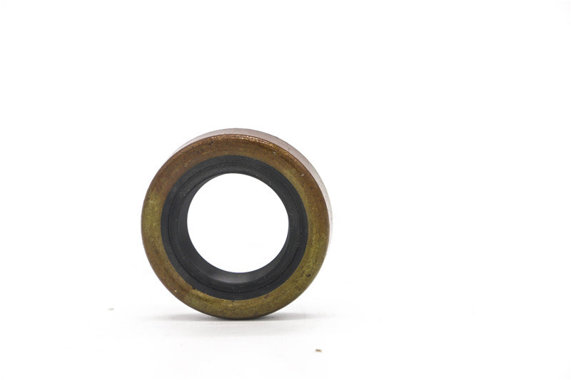 OEM NBR Factory of The Oil Seal for Machinery with Spring for Industrial of Rubber Product Rubber Oil Seal