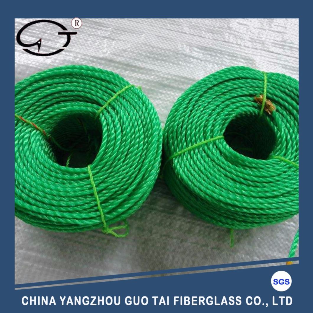 High Quality High Tensile Polyethelene Braided Rope for Shipping Boat