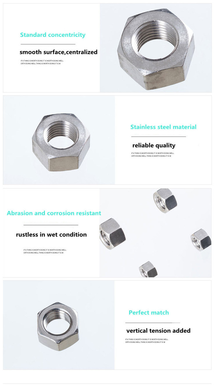 Stainless Steel DIN934 Hex Thick Heavy Nut