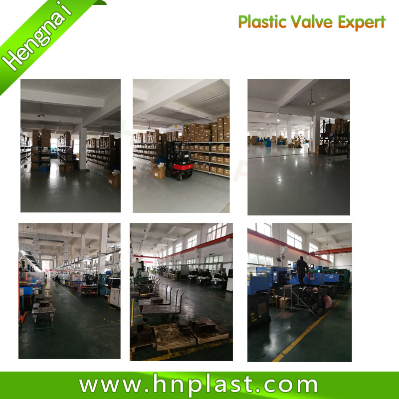 Plastic UPVC PVC One Single Union Ball Valve/Water Valve/Check Valve for Agriculture