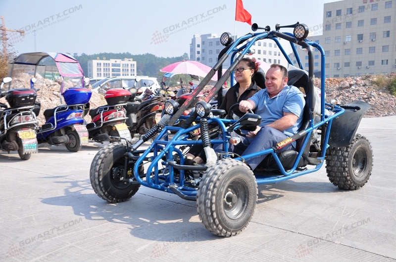 Direct Selling Mademoto 2 Seater Go Kart for Adult