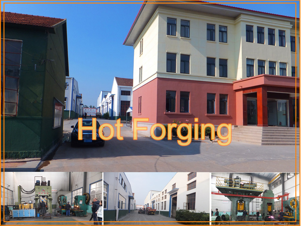 OEM Forged Metal Carbon Steel Hot Forge Forming Parts Truck Parts