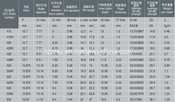 Short Pitch Precision Roller Chains (B Series Double Strand)