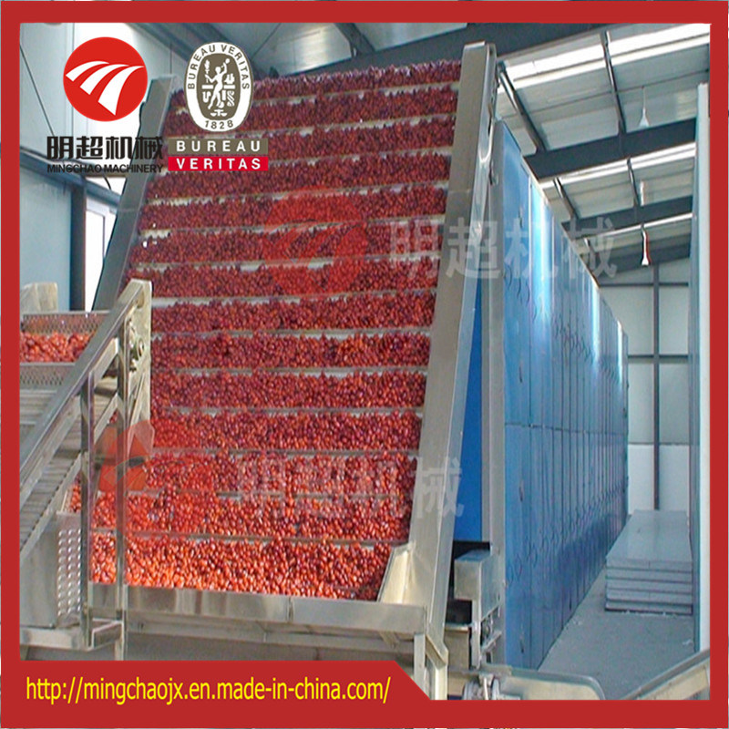 Factory Directly Sale Conveyor Drying Equipment Belt Drying Machine