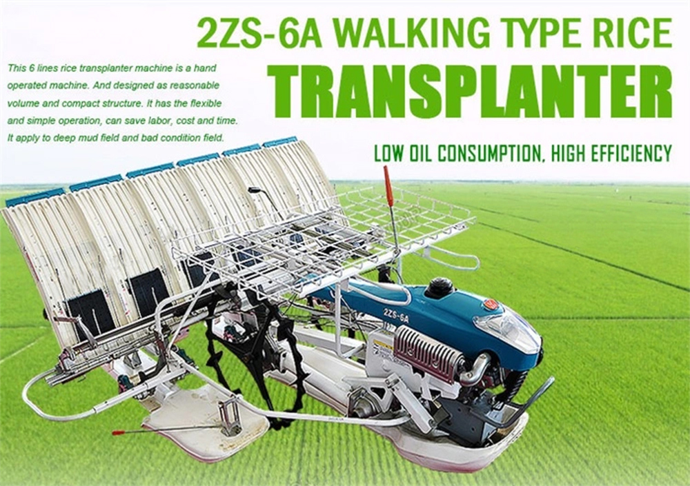 Walking Type 6 Rows Rice Seeding Machine Rice Transplanter