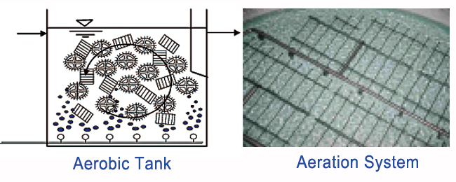 Various Fish Farm Bio Filter Media