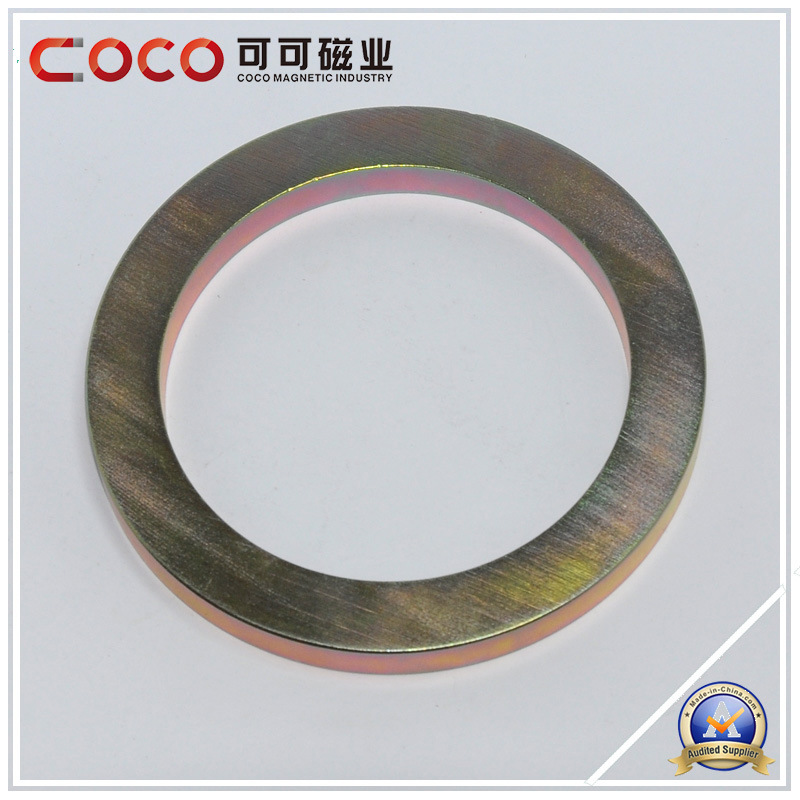 Custom Permanent Ring NdFeB/Neodymium Magnet with RoHS