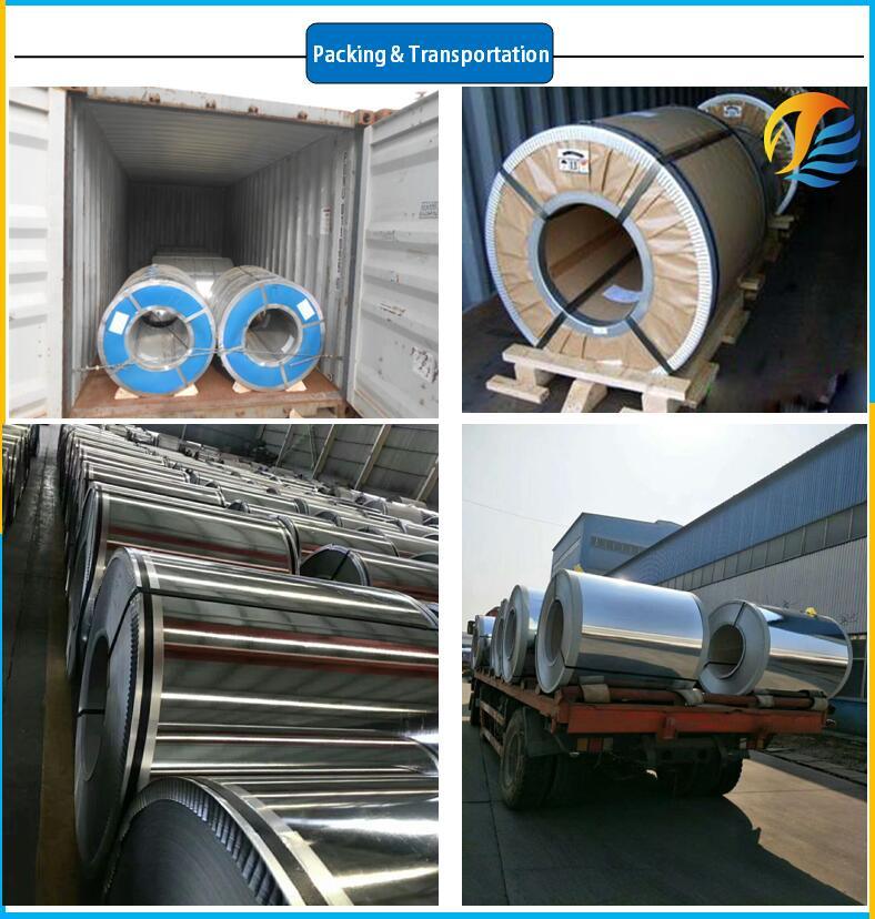 Sizes Required Galvanized Steel Coil Steel Strip by Factory in Factory Competitive Price