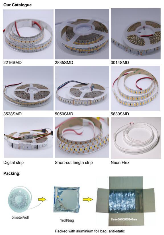 CCT Adjustable LED Strip 2216SMD Dynamic White Strip 120LEDs