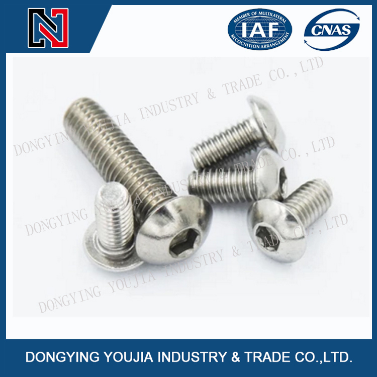 ISO7380 Stainless Steel Heaxagon Socket Round Head Screw