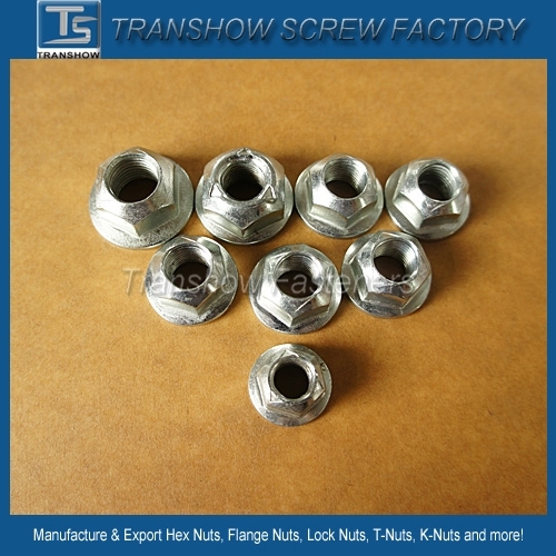 Prevailing Torque Self Locking Hex Nut