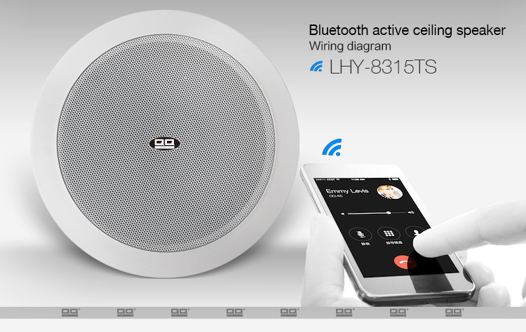 Lhy-8315ts PA Bluetooth Speaker System with Ce 20W 5 Inch