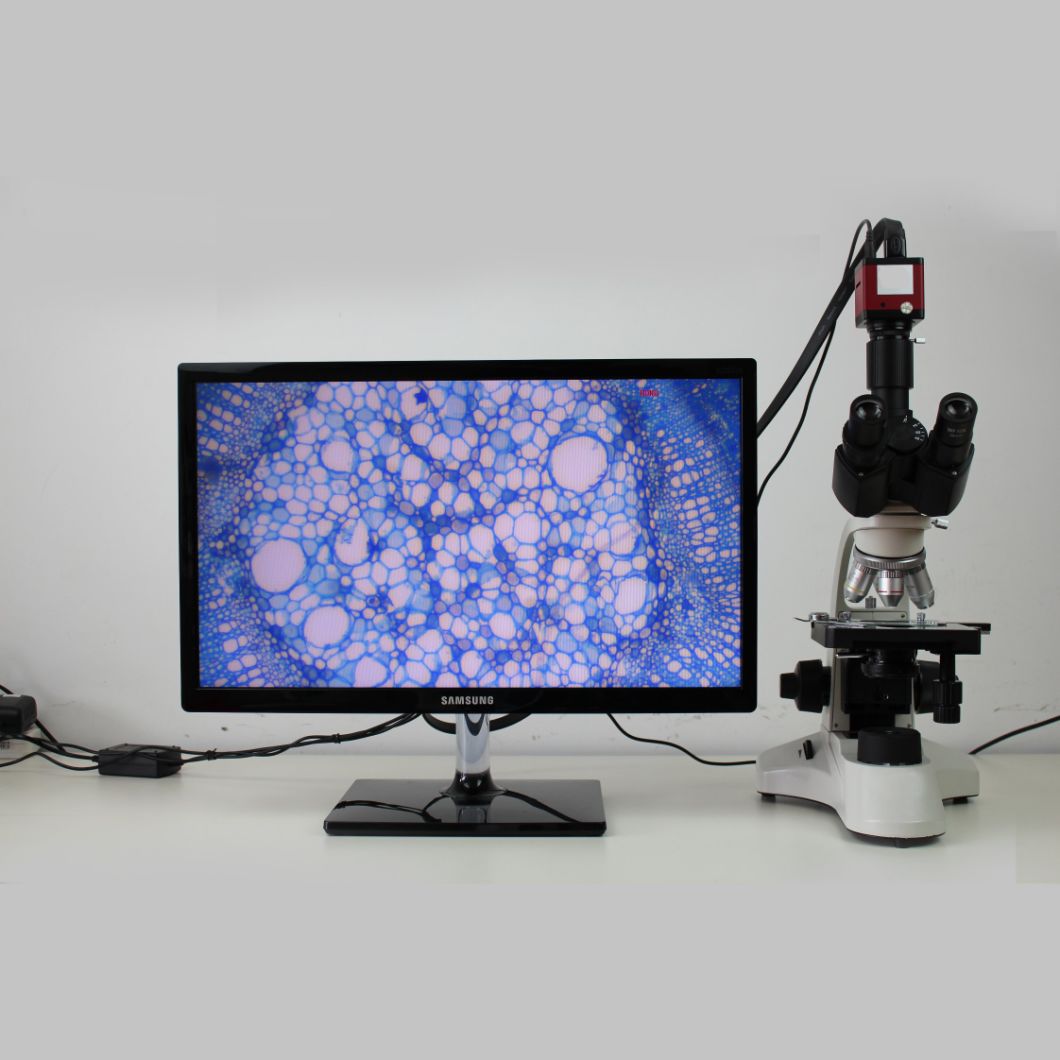 Msl-pH50-4 40X-1600X Binocular Biological Microscope/Binocular Microscope Suitable for Hospitals, Schools, Laboratories