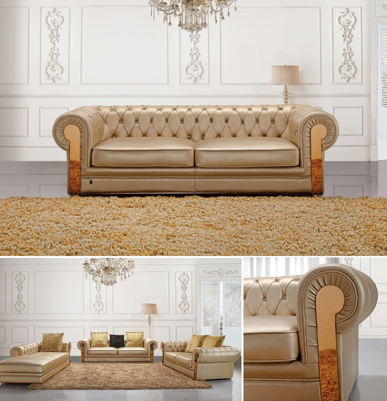 Luxurious Golden Leather Living Room Sectional Sofa Button Tufted (HC3009)