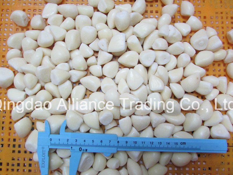 IQF Frozen White Garlic Cloves with Kosher Certificate