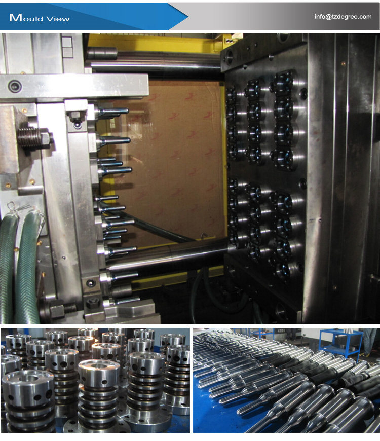 Chinese Mould Manufacturer Injection Pet Preform Bottle Mold