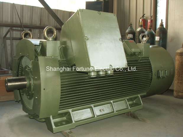 Big Size Three Phase Squirrel Cage Asynchronous Induction AC Motor