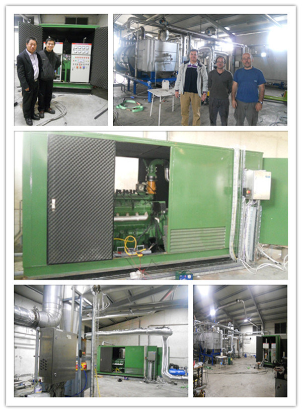 Electricity Power Plant Biogas Generator