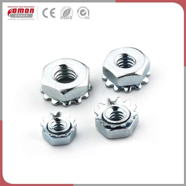 Customized Design Round Insert Rivet Wing Nut for Building