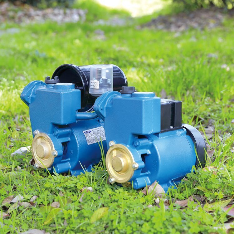 Ce Small High Quality Suction Water Pump Gp Series