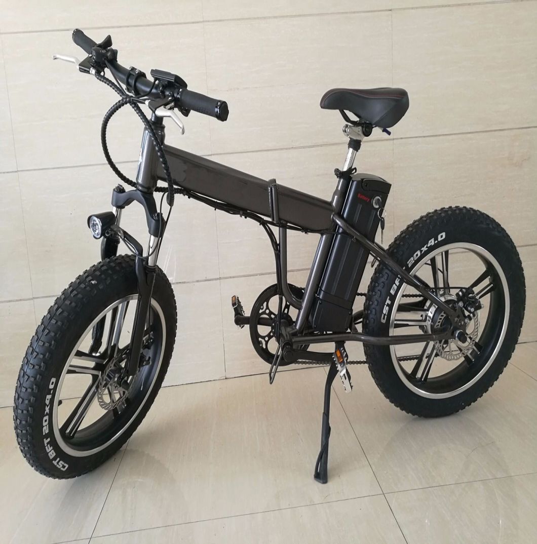 250/350W Brushless Electric Power Folding 20'' E Bike Fat Tire