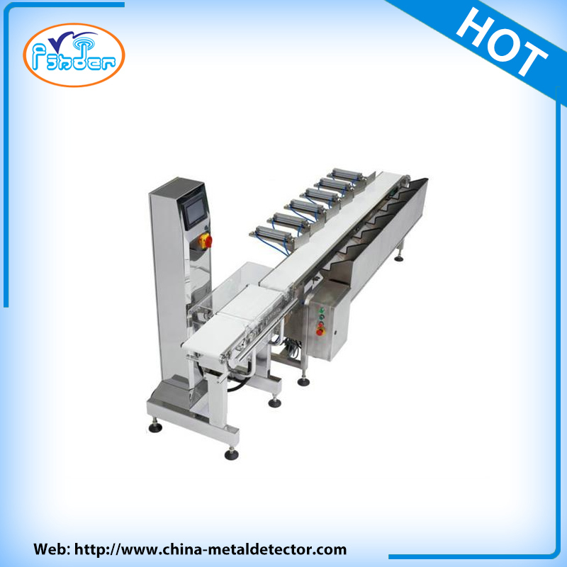 Conveyor Style Food Check Weigher