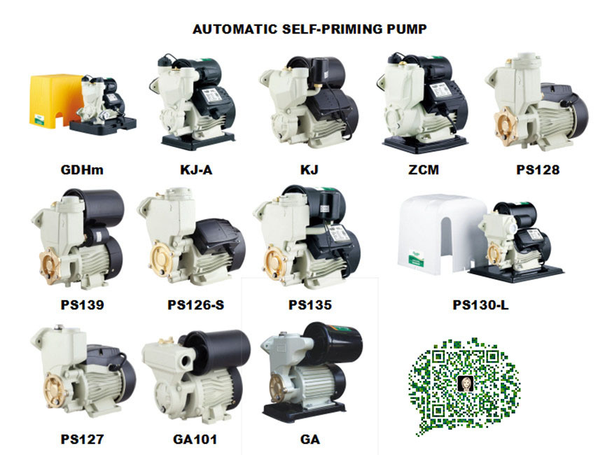 Copper Wire Pressure Gauge Boosting Water Pump with Micro Switch