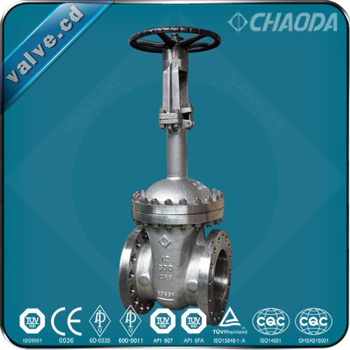 API600 Cryogenic Flanged Gate Valve