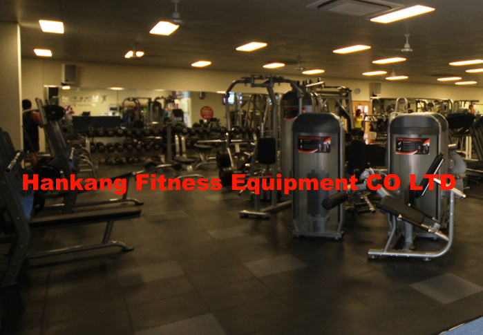 Gym and Gym Equipment, Fitness, Body Building, Hammer Strength, Lateral Deltoids (HP-3011)