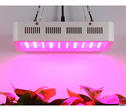 LED Plant Grow Light 300W 600W 900W 1000W 1200W 1500W 1800W 2000W Panel Full Spectrum LED Grow Light for Greenhouse Bloom and Vegetable