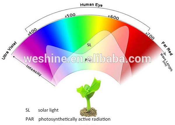 Aluminum Alloy PAR38 High Power 12W LED Plant Grow Light