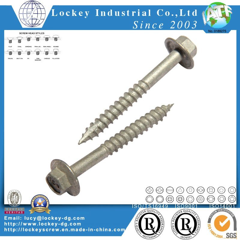 Hex Flange Head Lag Screw Wood Screw Coach Screw