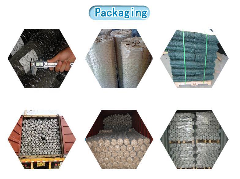 High Quality Building Material PVC Hexagonal Wire Mesh