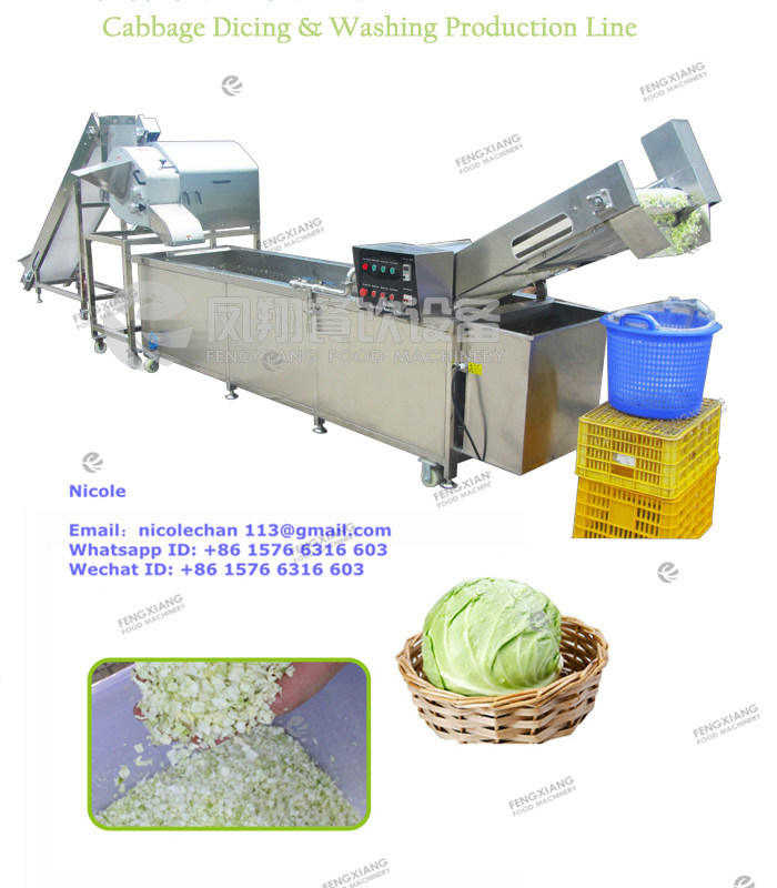 Automatic Large Capacity Vegetable Carrot Potato Onion Cabbage Diding/Cutting Machine