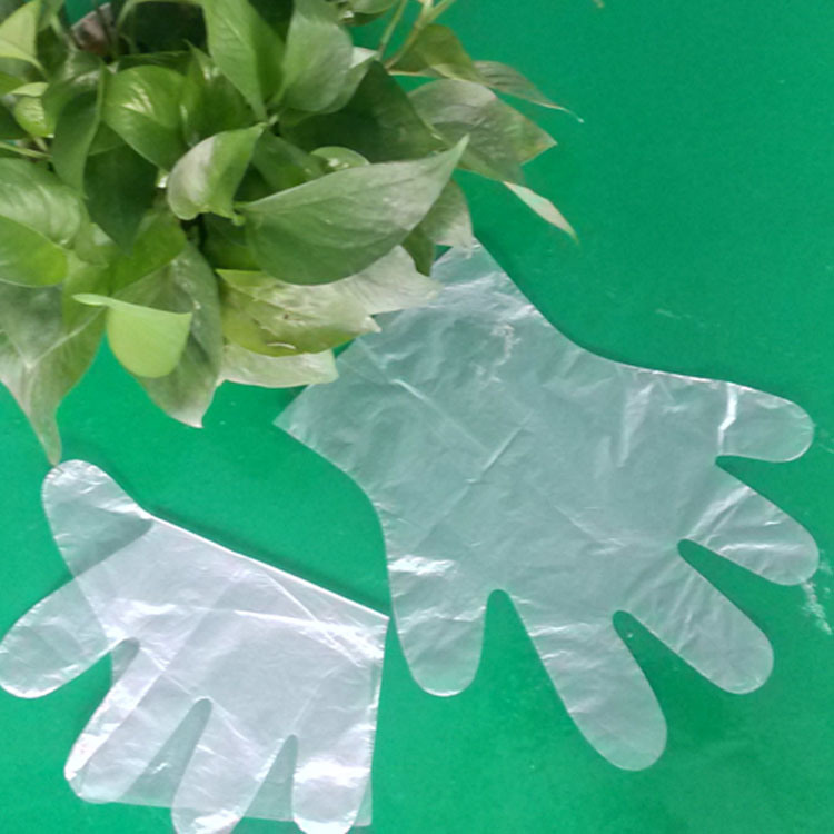 Disposable Safety Gloves/High Density Polyethylene HDPE Gloves