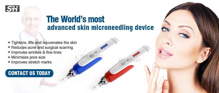 Rechargeble Permanent Makeup Machine Electric Micro Needle Dermapen for Facial Care