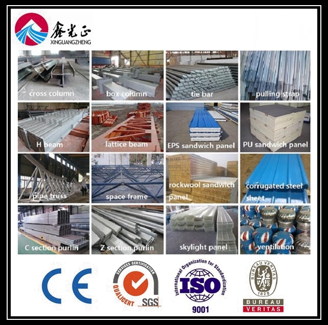 Light Steel Structure Warehouse/Building/Workshop (BYSS021)