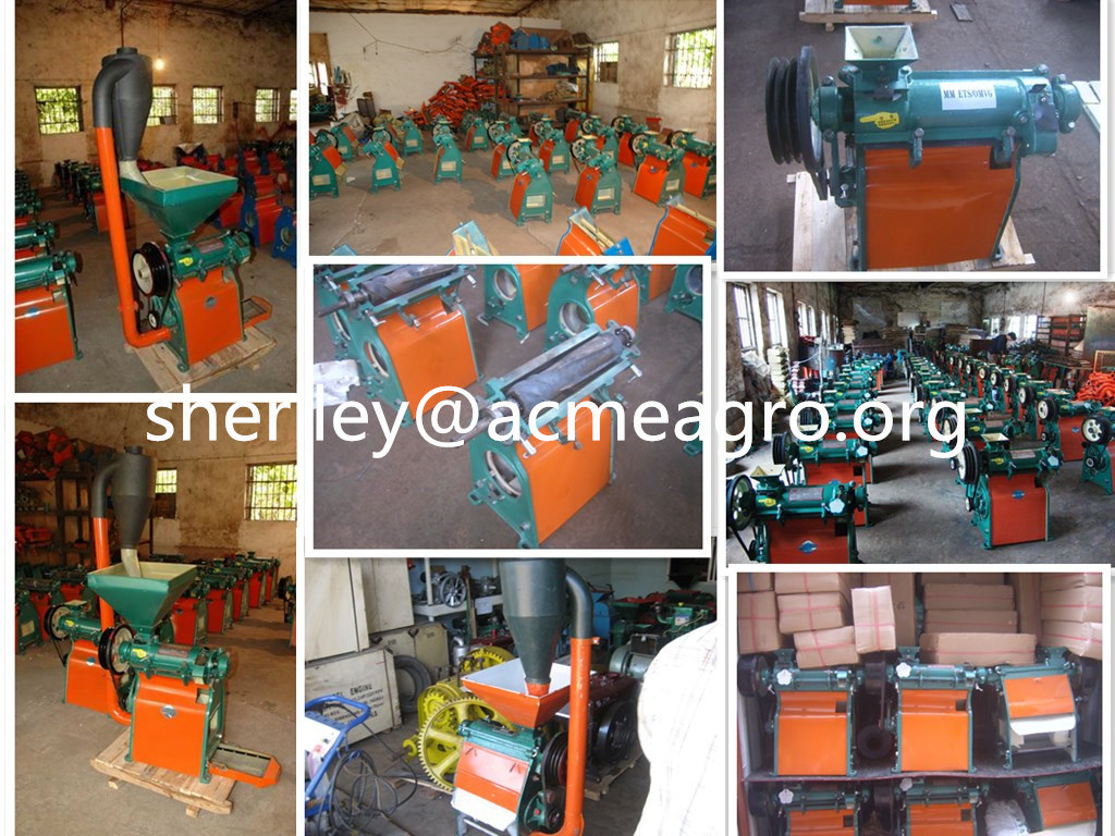 6NF-9 /NF-400 China Supplier for Eating Small Rice Mill for Kenya