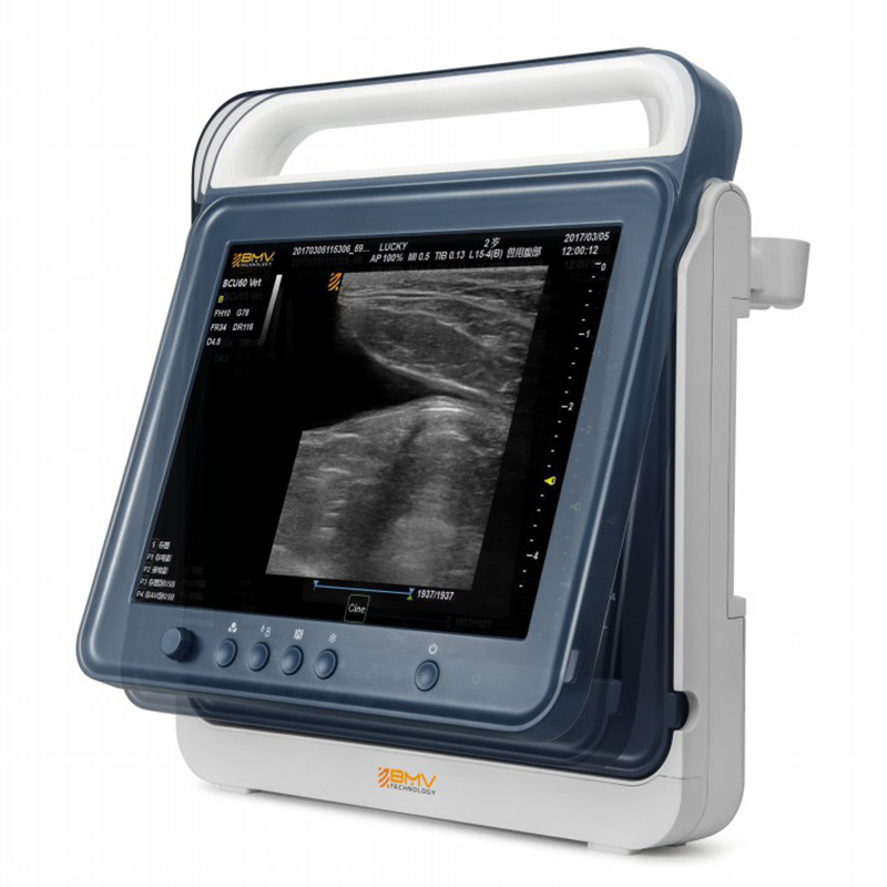 PT50A China Medical Supply Company Ultrasonography Equipment