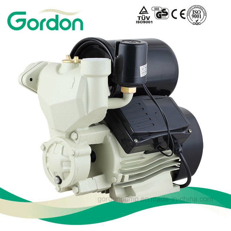 Self-Priming Electric Pump with Micro Switch for Water Supply