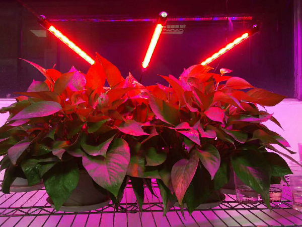 10W 15W Garden Greenhouse Indoor Plants LED Clip Grow Light