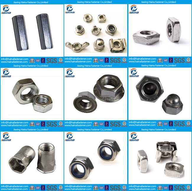 Ss 304 Flat Head Semi-Hexagonal Body Close End Rivet Nut/Pop Nut