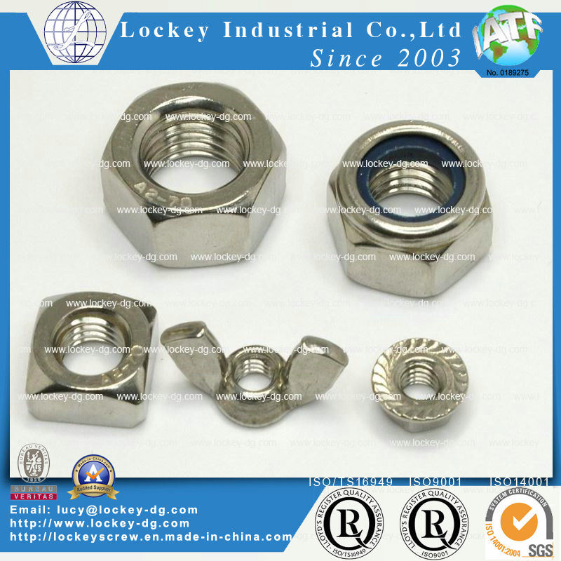 Stainless Steel Hex Nut / Flange Nut / Square Nut / Nylon Lock Nut / Weld Nut